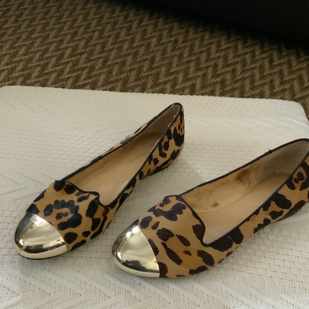 Leopard Print Gianni bini Flats with Gold Accents made from cowhide